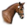 images/avatars/avatar-48217.png