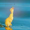 images/avatars/avatar-48737.png
