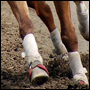 images/avatars/avatar-48902.jpg
