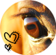 images/avatars/avatar-49660.png