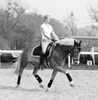 images/avatars/avatar-50414.jpg