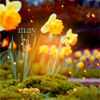 images/avatars/avatar-52058.png