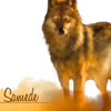 images/avatars/avatar-52895.png