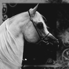 images/avatars/avatar-53820.jpg