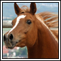 images/avatars/avatar-5681.jpg