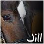 images/avatars/avatar-5785.jpg