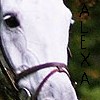 images/avatars/avatar-6787.jpg