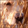 images/avatars/avatar-7765.gif