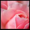 images/avatars/avatar-8542.jpg