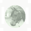images/avatars/avatar-9489.gif